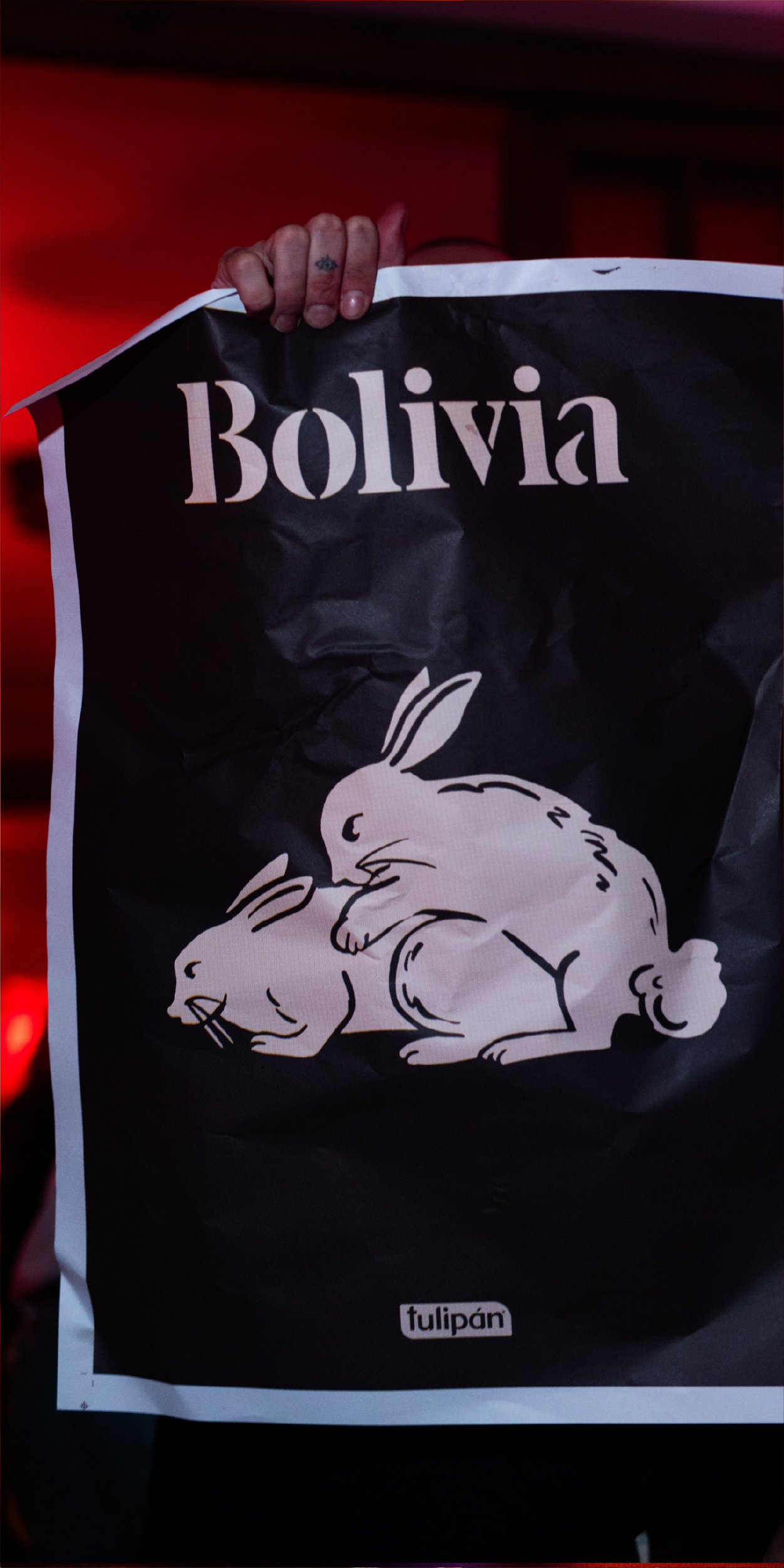 Bolivia Divina Tienda Online Lanzamiento Nueva Coleccion